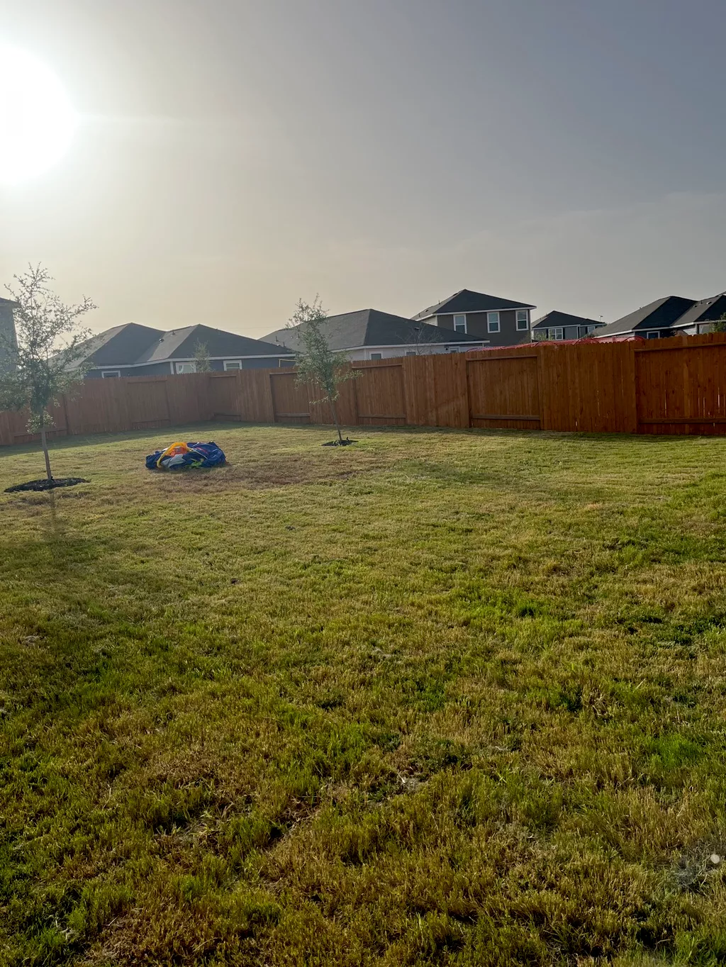 Lawn Mowing + Tree Trimming